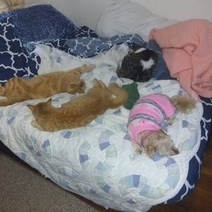 Meet your Posher, Jackie